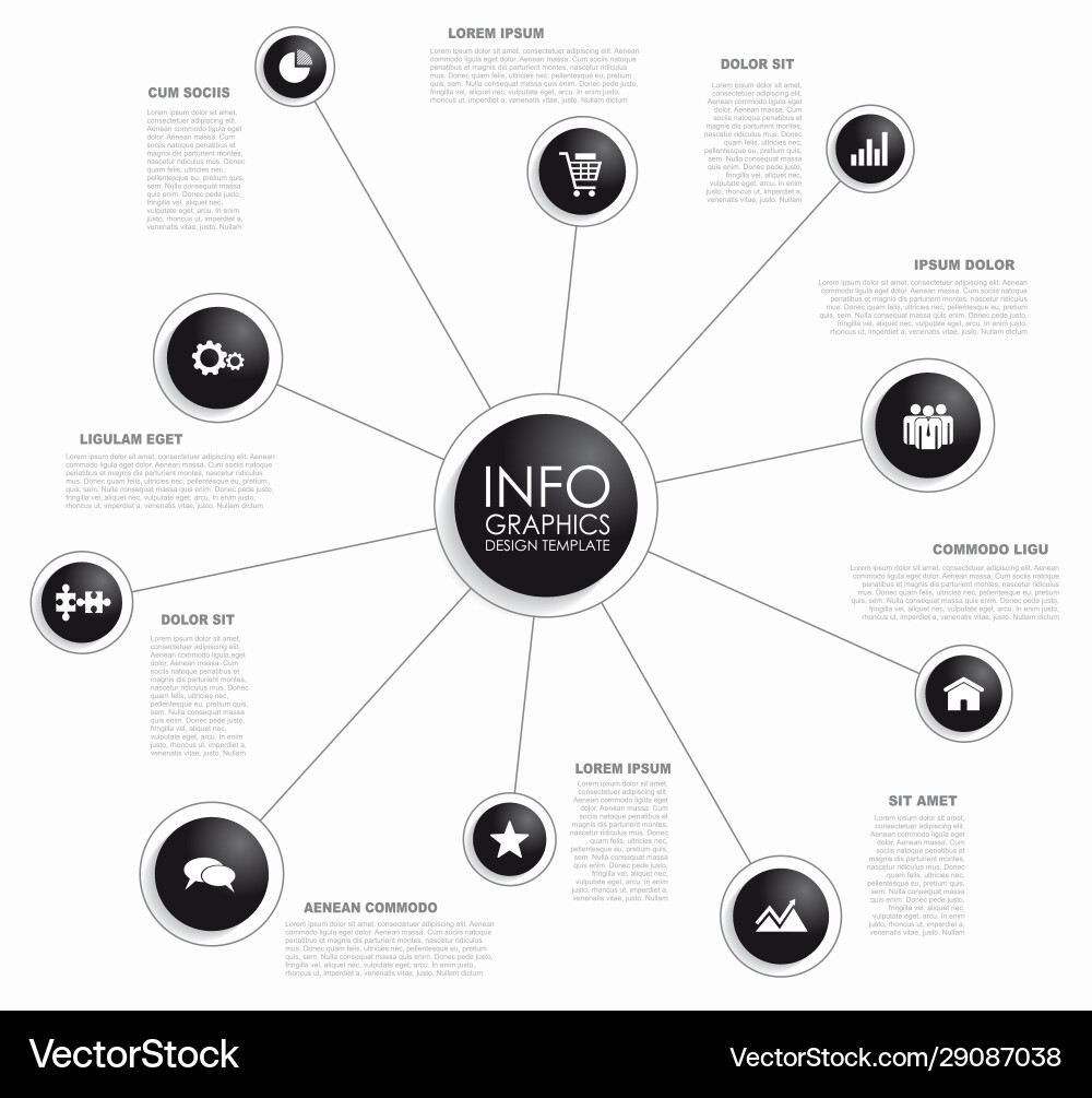 Infographic Template - Data Visualization Vector Image