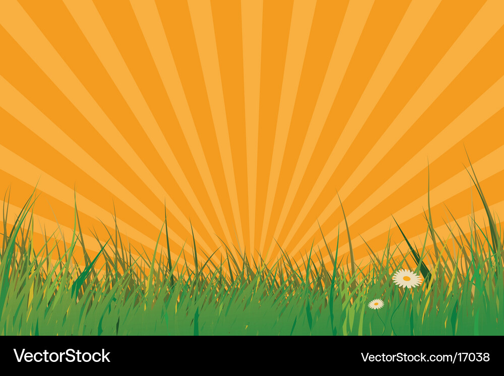 Vibrant Green Meadow Background Vector Image