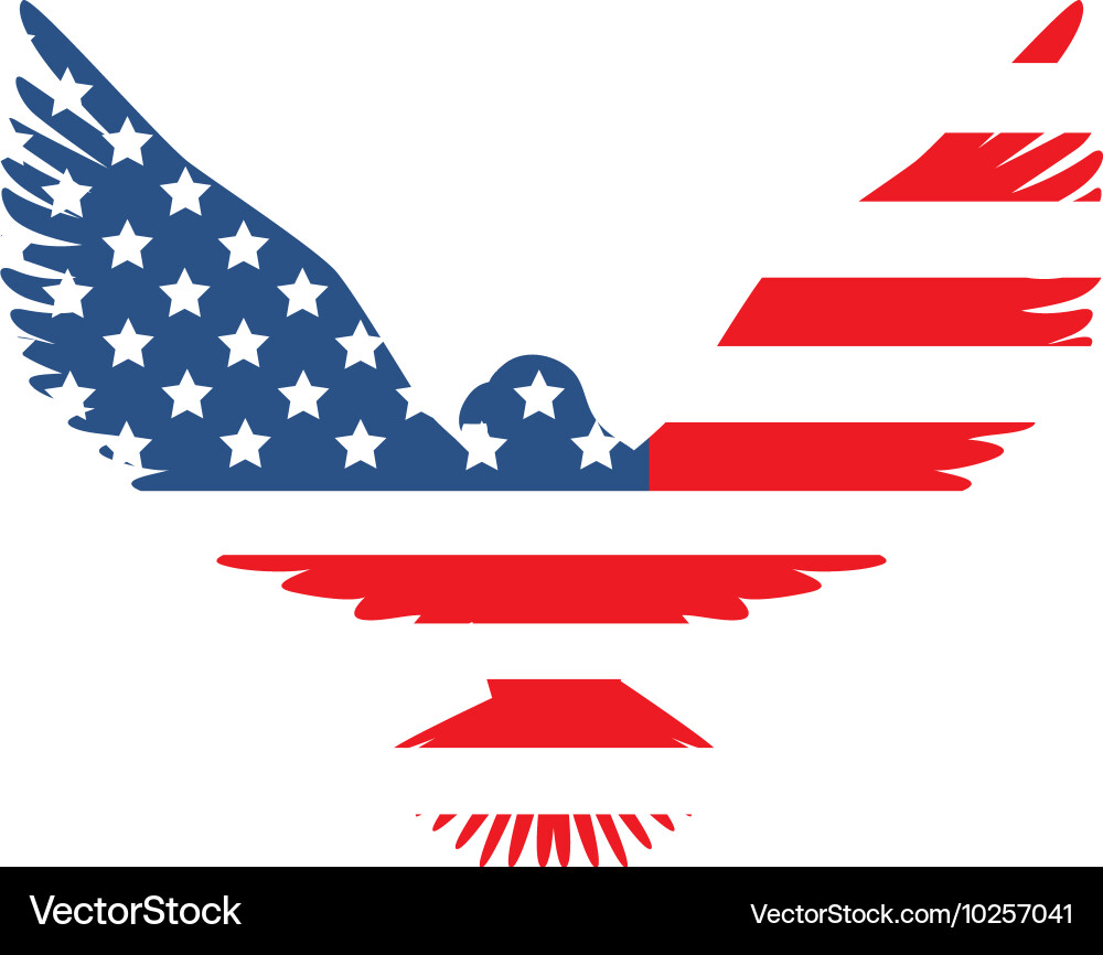 American Eagle Flag vector image