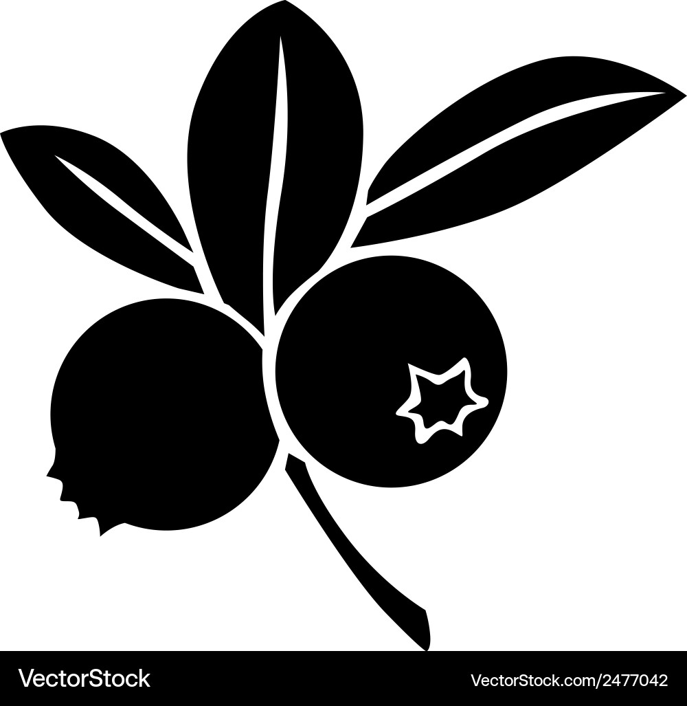 Blueberry Berry Silhouette Vector Image