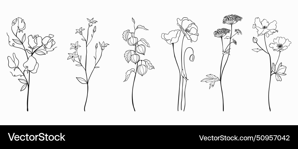 Modern abstract elements set minimal design vect vector image