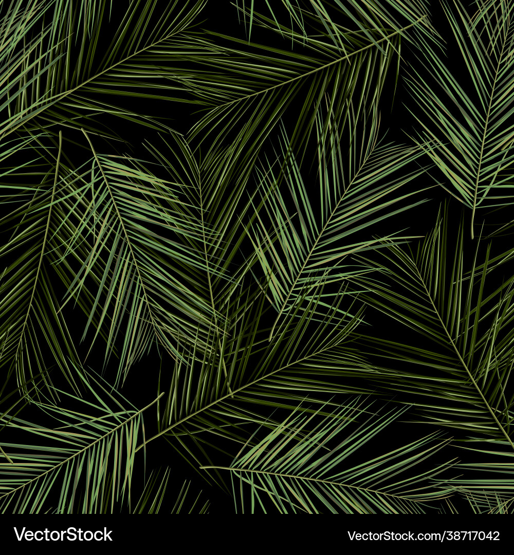 Tropical Palm Leaf Pattern vector image