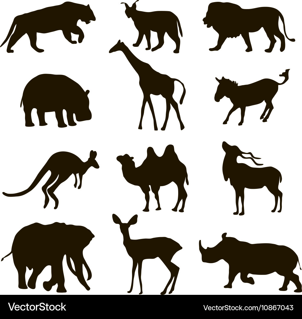 Black Animal Silhouettes Vector Image