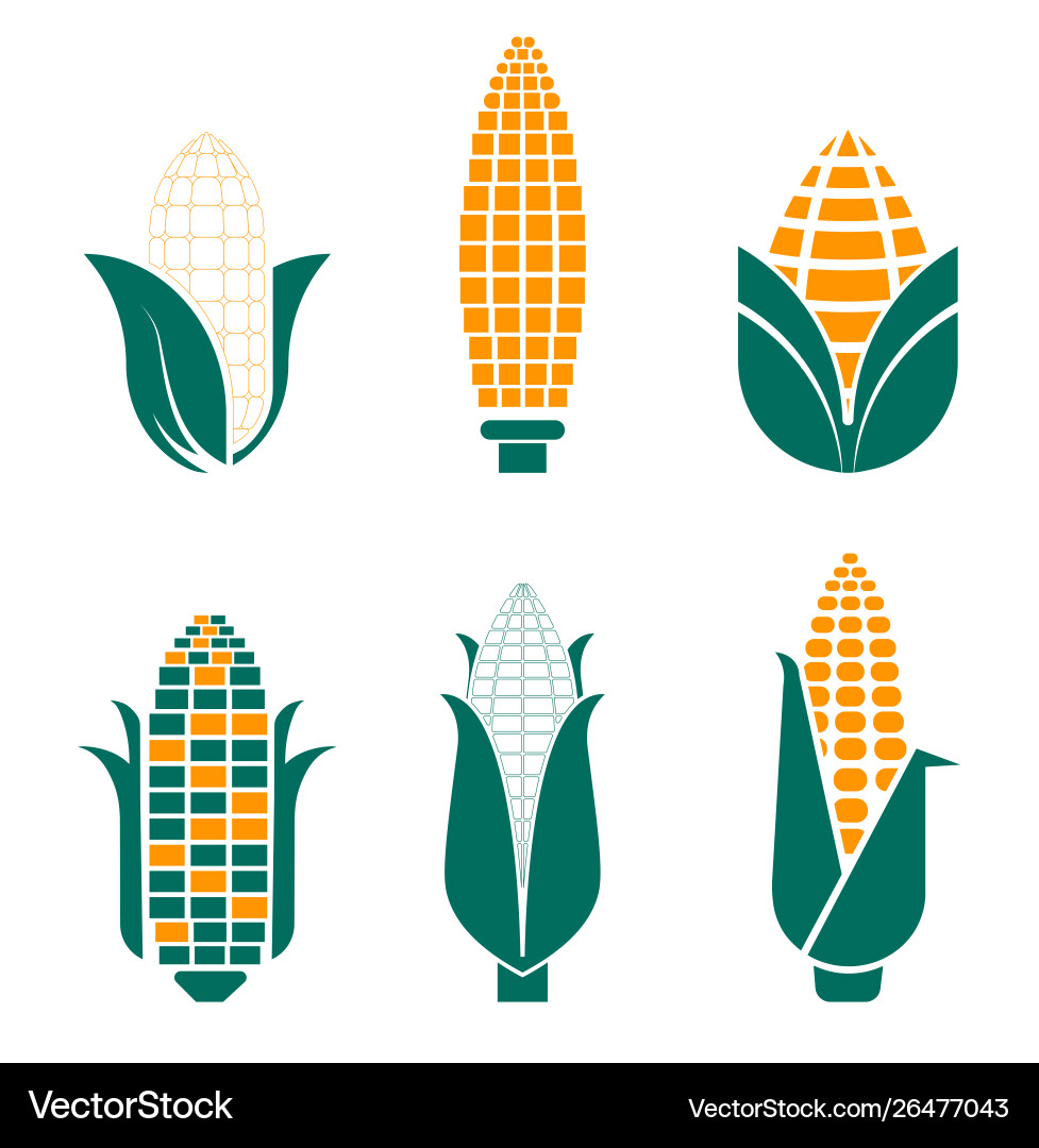Corn vegetables isolated icons farm food and field Corn vegetables isolated icons farm food and field vector image
