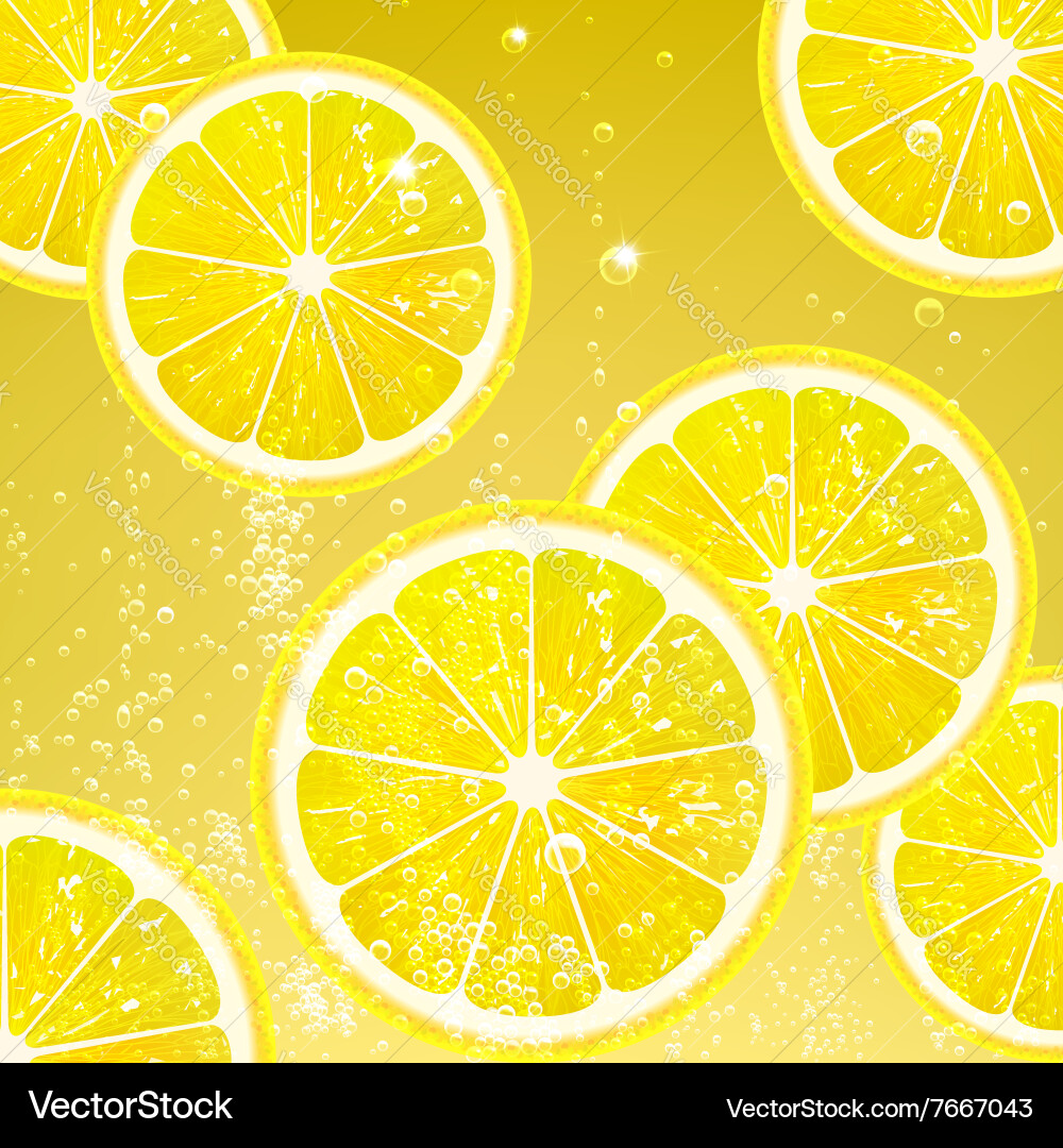 Refreshing Lemonade with Lemon Slices vector image