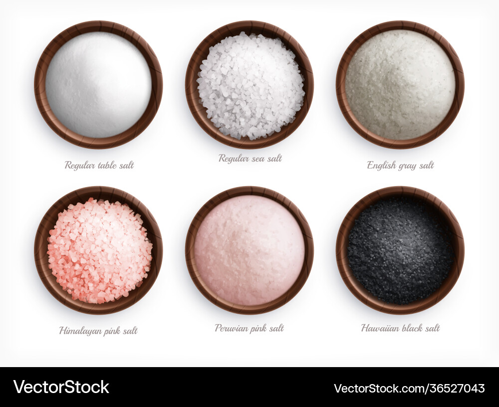 Salt types realistic set Salt types realistic set vector image