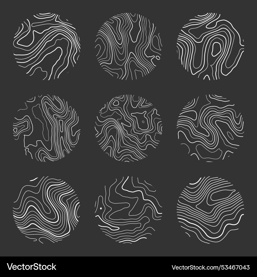 Topographic map with contour lines geographic Topographic map with contour lines geographic vector image