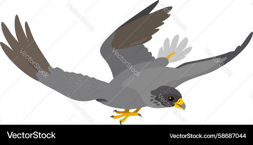 Bird of prey in controlled landing pose design Vector Image