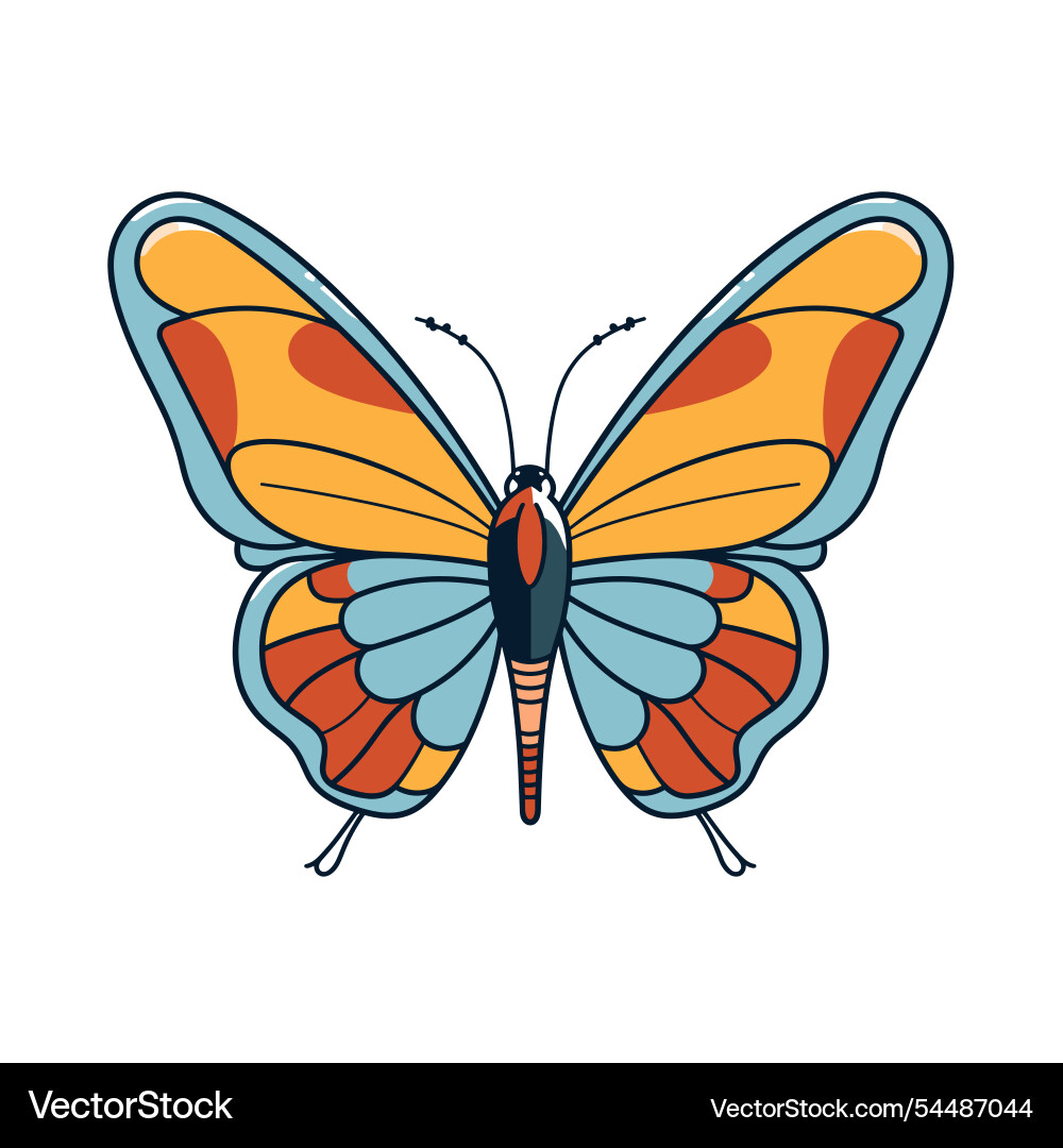 Colorful of a butterfly with intricate patterns Colorful of a butterfly with intricate patterns Vector Image