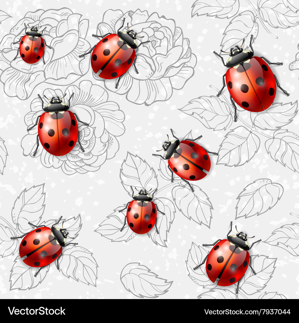 Ladybug Pattern Seamless Texture vector image