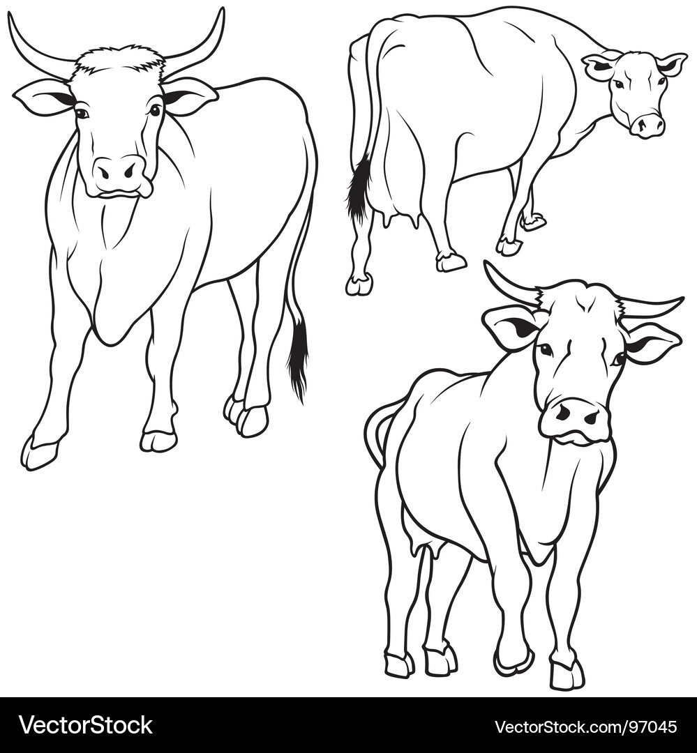 Cute Cow Set - Hand Drawn Vector Image