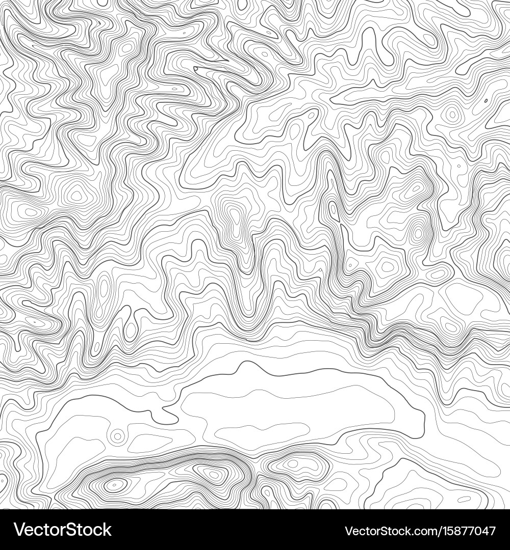 Topographic map background with space for copy vector image