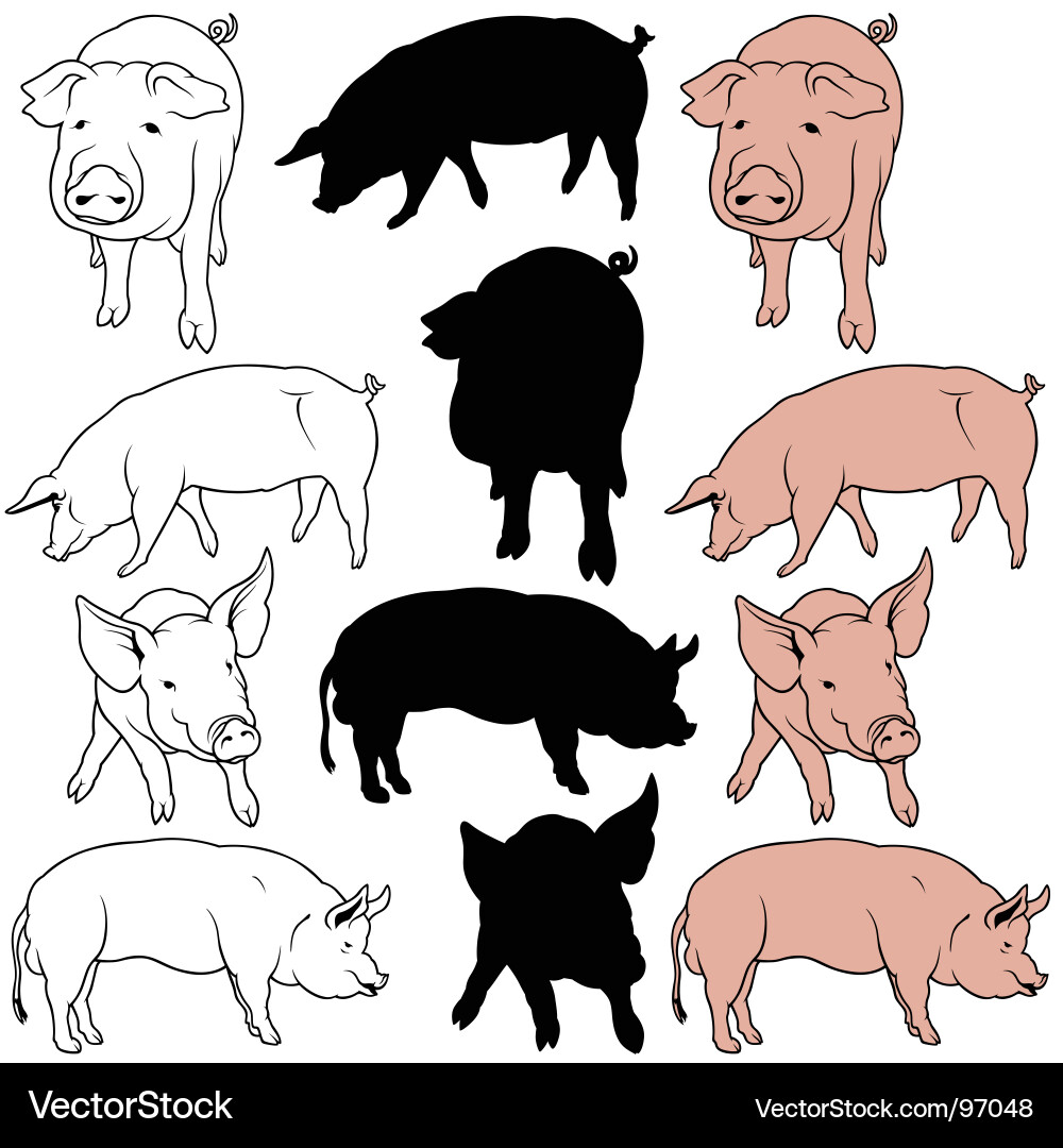 Pig Silhouettes Set Vector Image