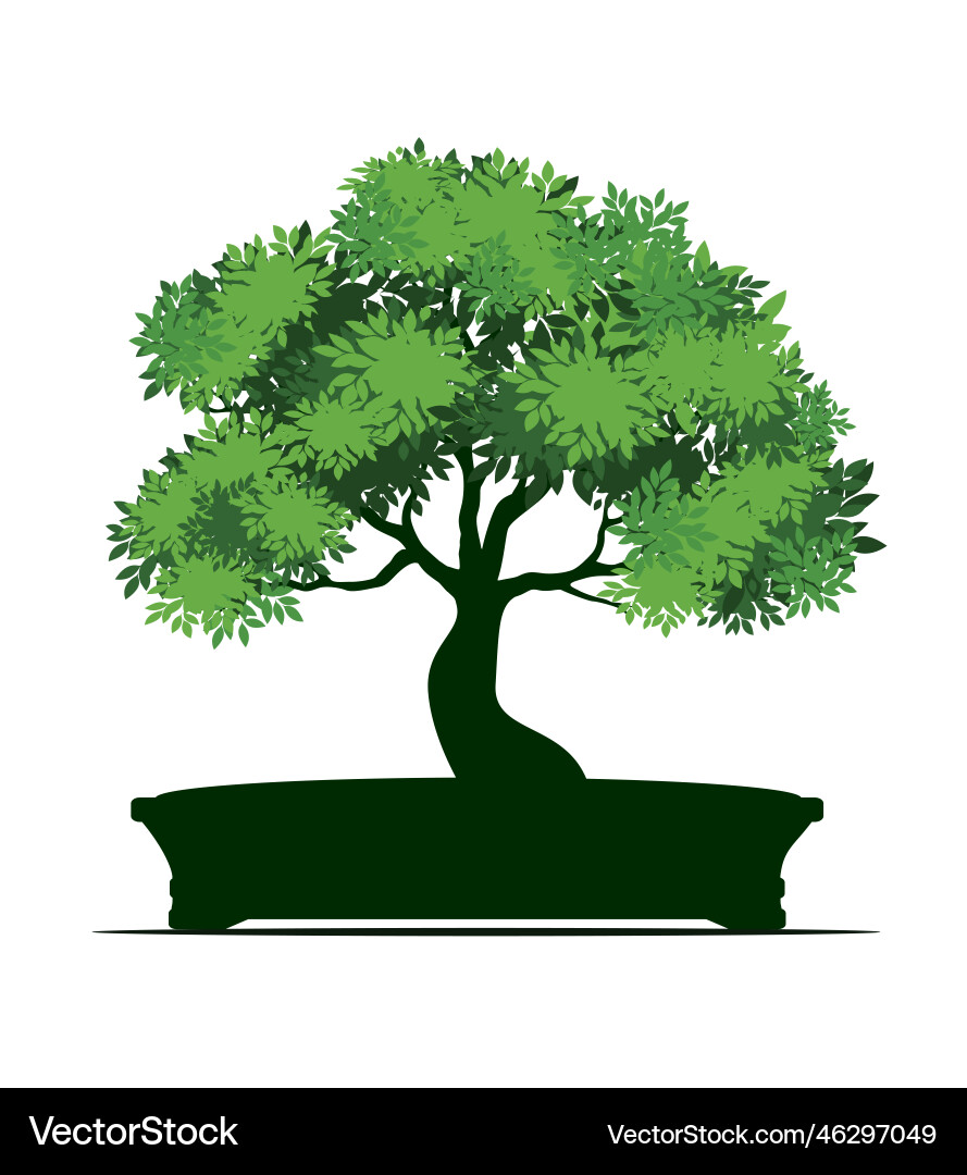 Shape of bonsai tree with leaves in pot vector image