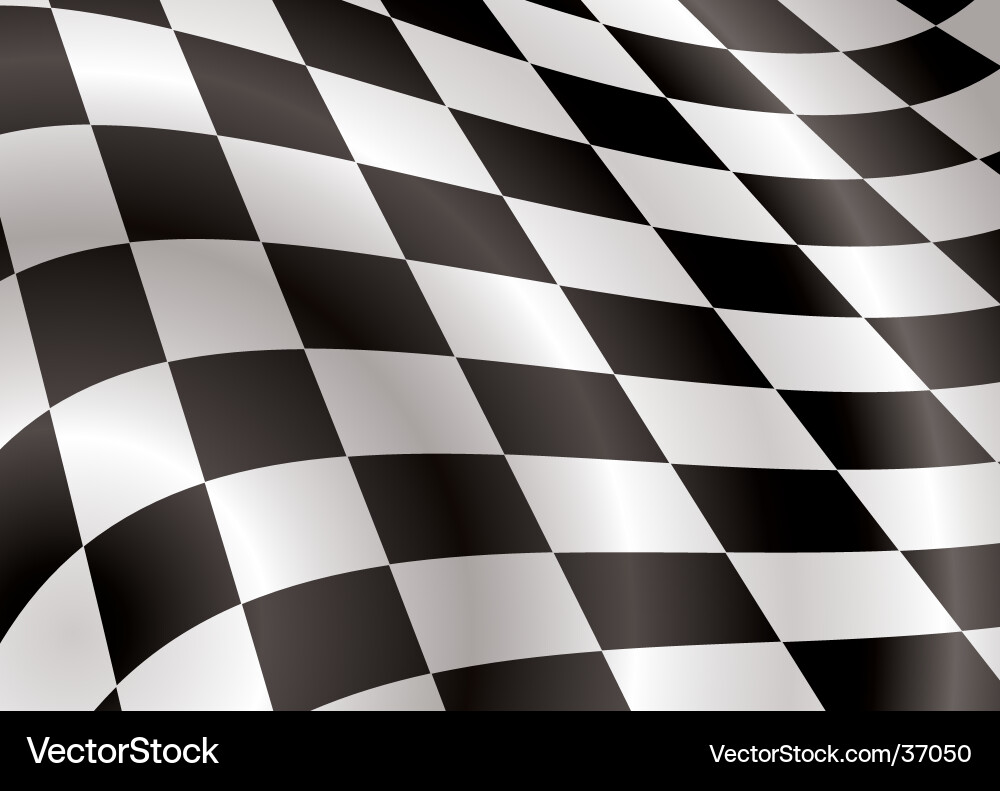 Checkerboard Flag Pattern Vector Image