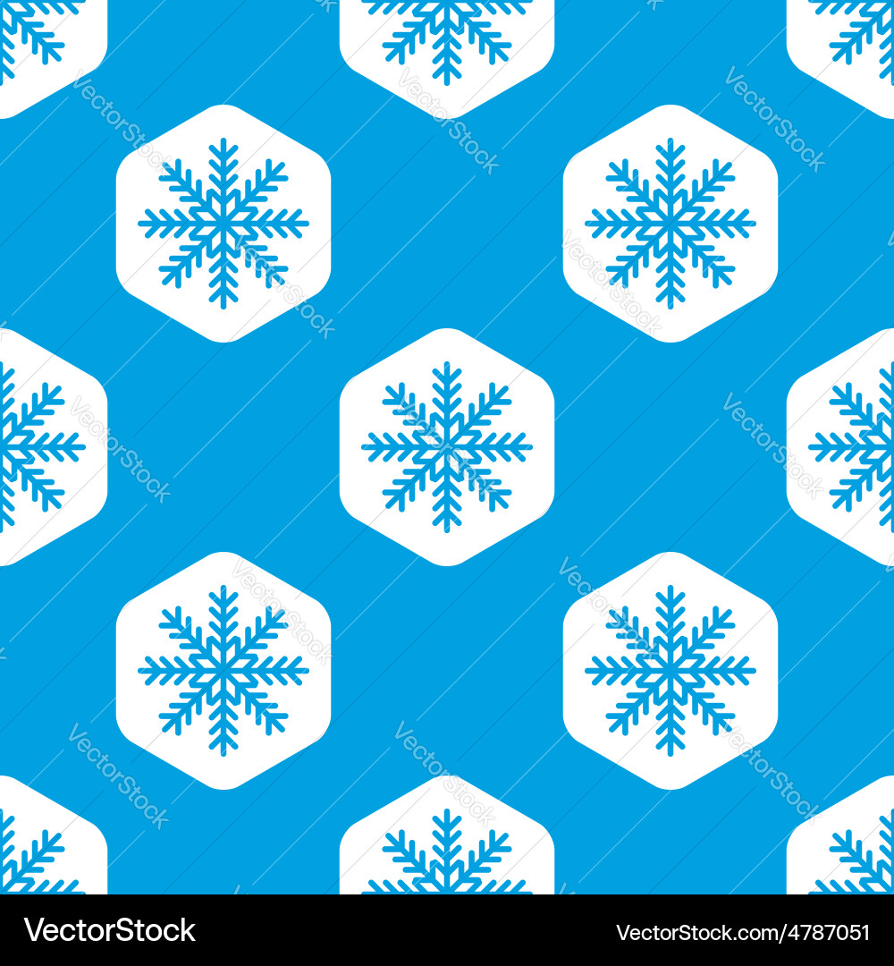Snowflake hexagon pattern Vector Image