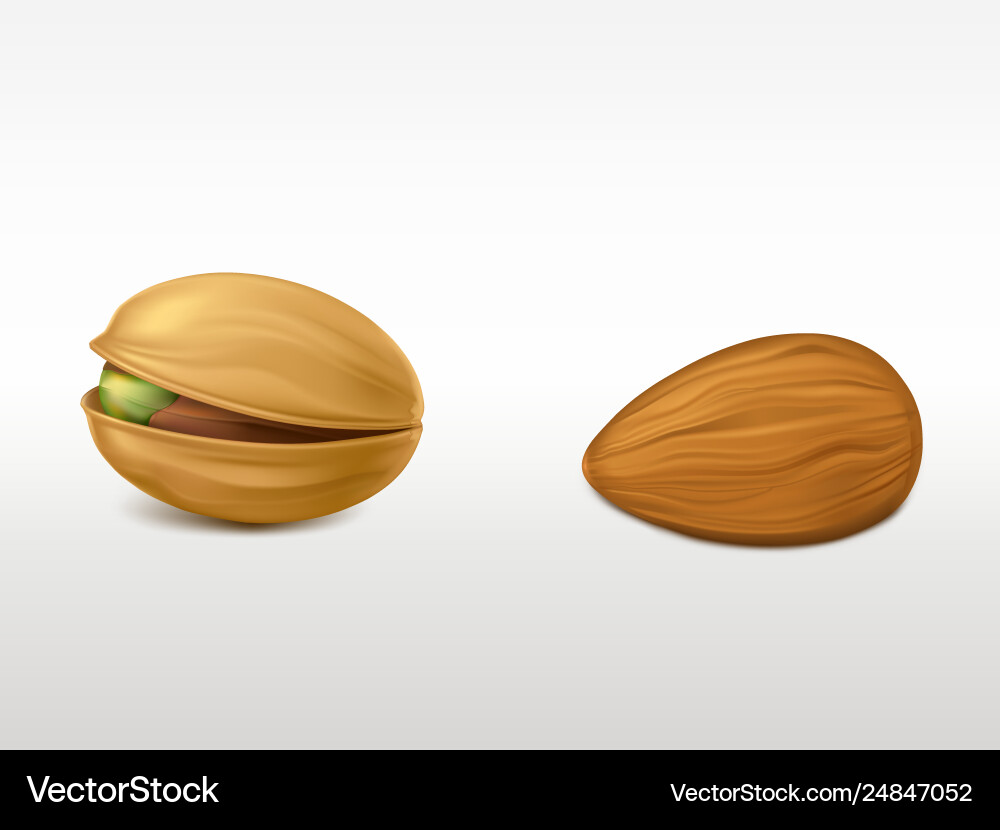 Peeled almond and cracked pistachio with peel set Peeled almond and cracked pistachio with peel set vector image