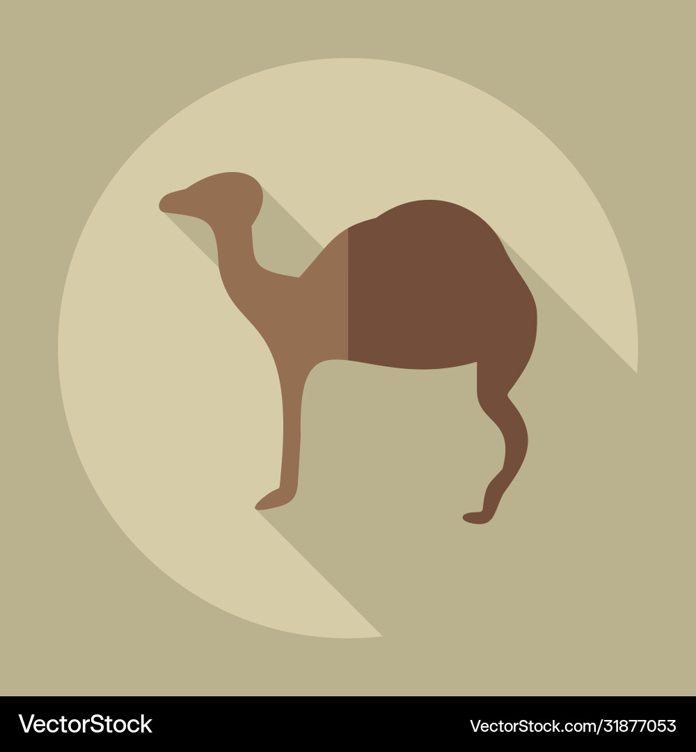 Flat concept set modern design with shadow camel vector image