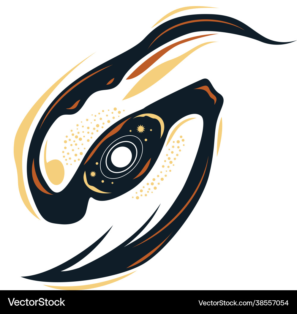 Hand drawn galaxy Hand drawn galaxy vector image