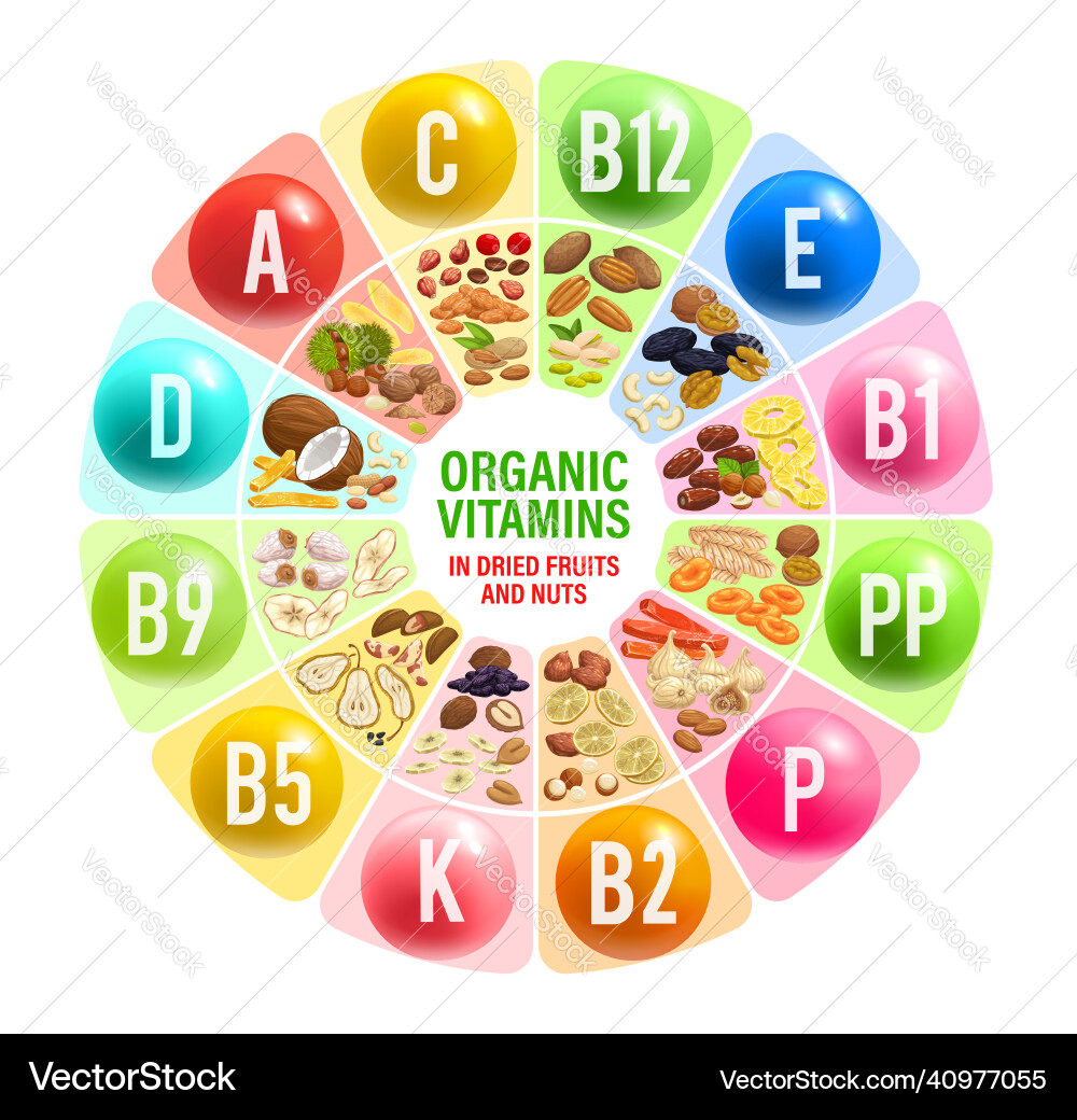 Dried Fruits & Nuts Nutrition Chart Royalty Free Vector