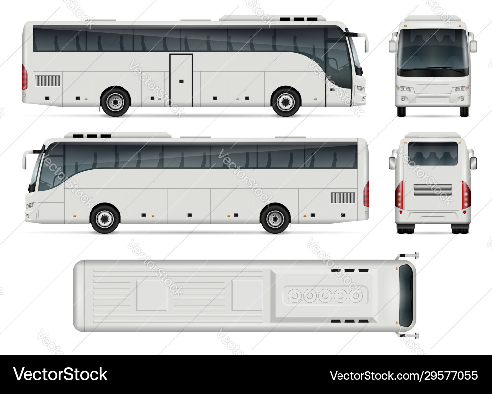 Modern Bus Set - Side, Front, Back Views vector image