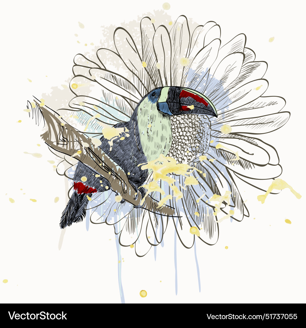 Parrot Royalty Free Vector Image - VectorStock
