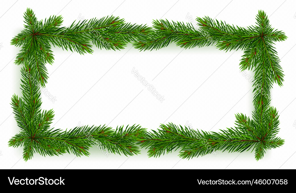 Realistic rectangular pine tree frame Realistic rectangular pine tree frame Vector Image