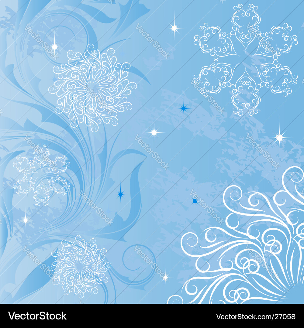 Winter Snowflake Patterns vector image