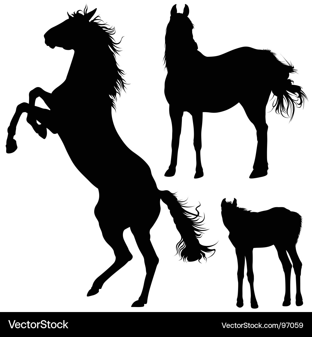 Horse Silhouettes - Black and White vector image