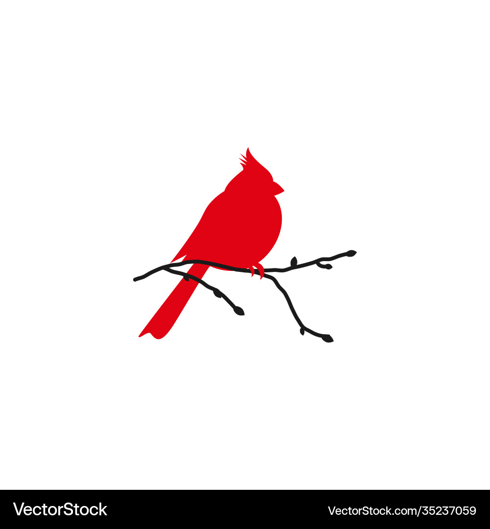 Northern cardinal and black branch redbird Northern cardinal and black branch redbird vector image