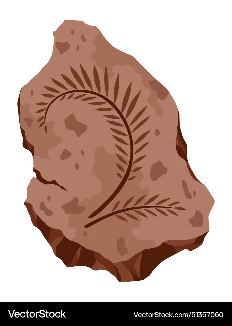 Archeology fossil stone with print of extinct Archeology fossil stone with print of extinct vector image