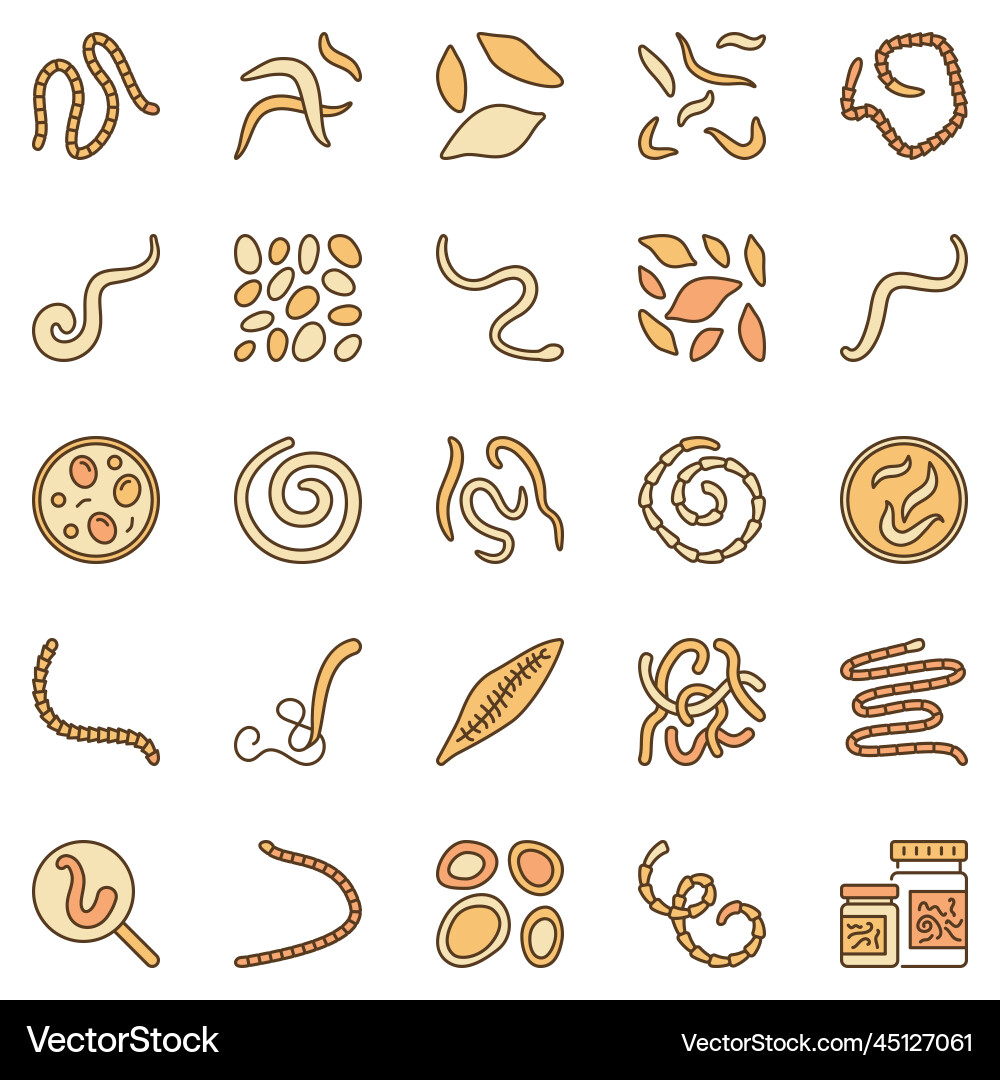 Helminth colored icons - helminths intestinal Helminth colored icons - helminths intestinal vector image