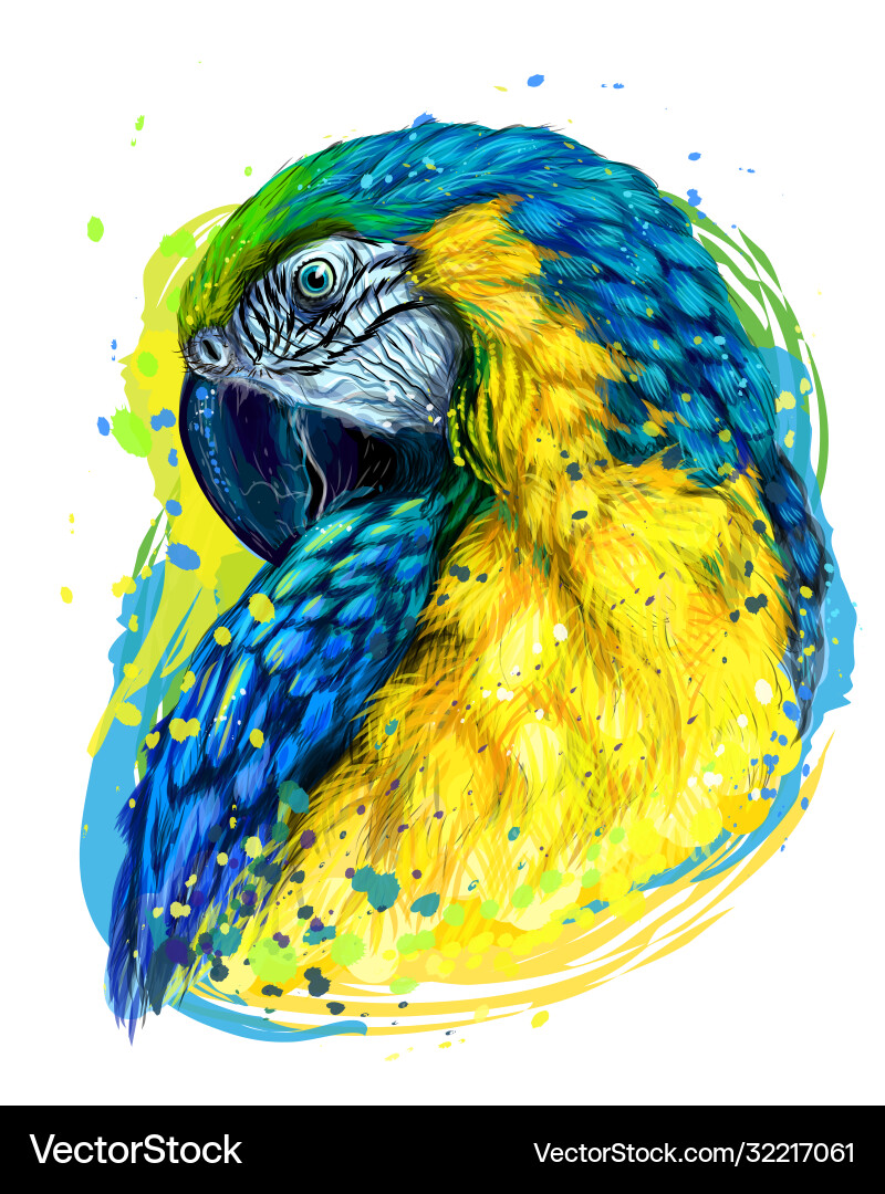 Macaw parrot hand-drawn artistic portrait Macaw parrot hand-drawn artistic portrait vector image