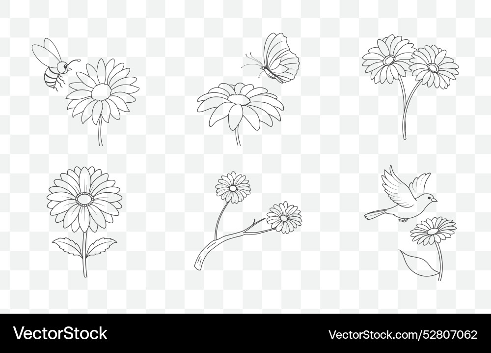 Print gerbera flower line art set Print gerbera flower line art set vector image