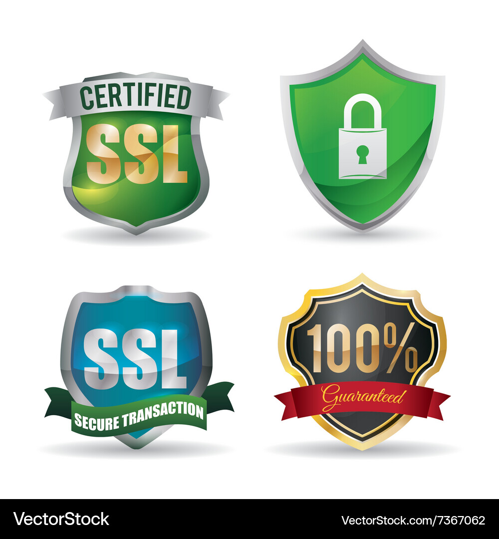 Webhosting und Datensicherheitsdesign Vektorbild