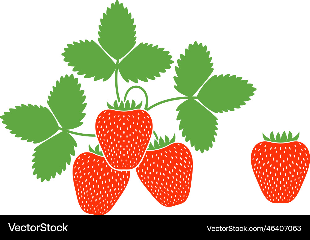Strawberry Royalty Free Vector Image - VectorStock