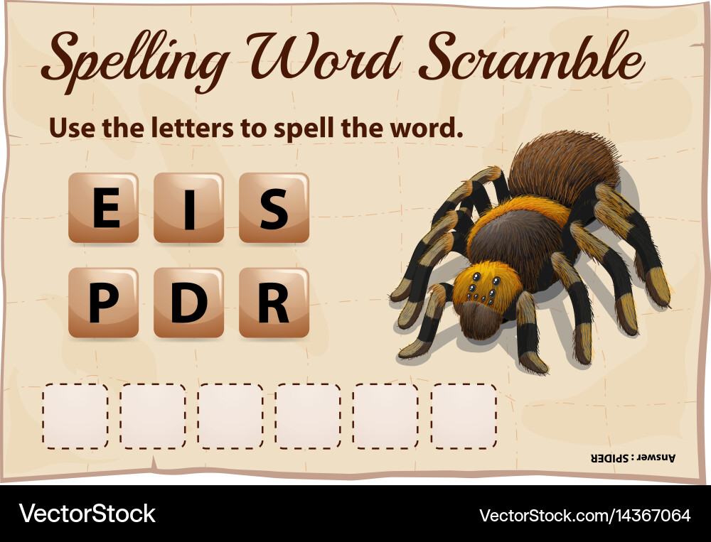 Spelling word scrable game with spider vector image