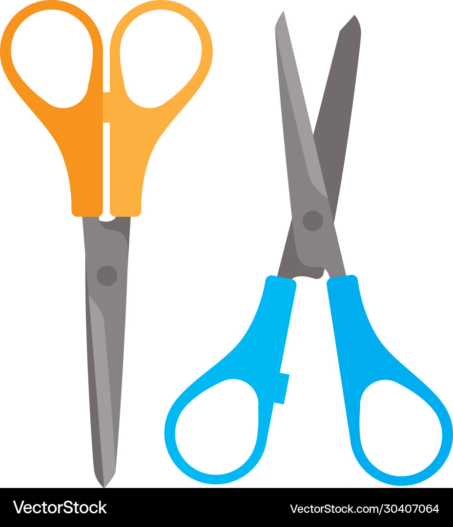A pair of scissors. A pair of scissors