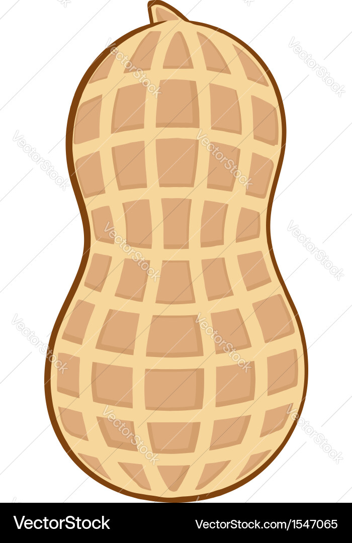 Cute Cartoon Peanut Vector Image