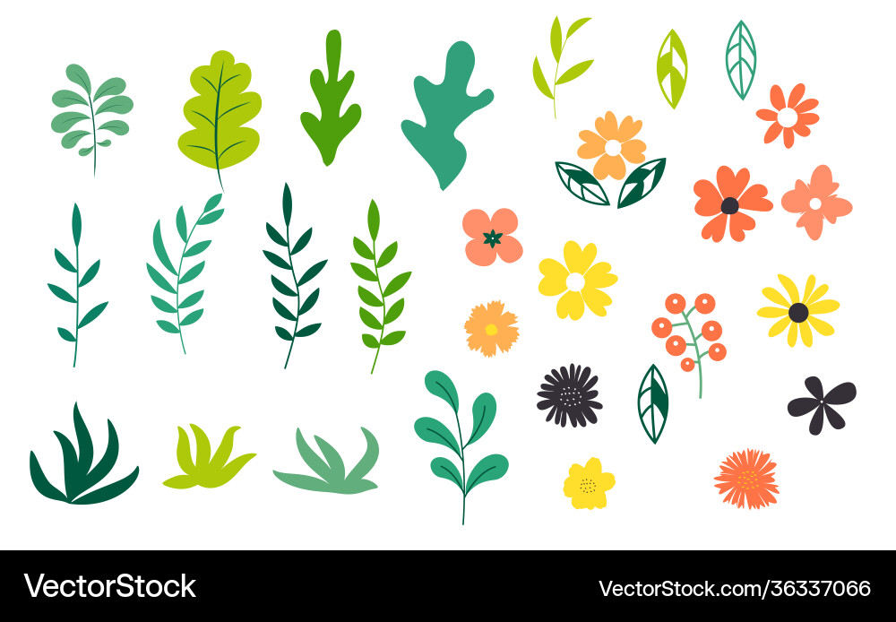 Floral Elements: Leaf & Flower Collection Vector Image