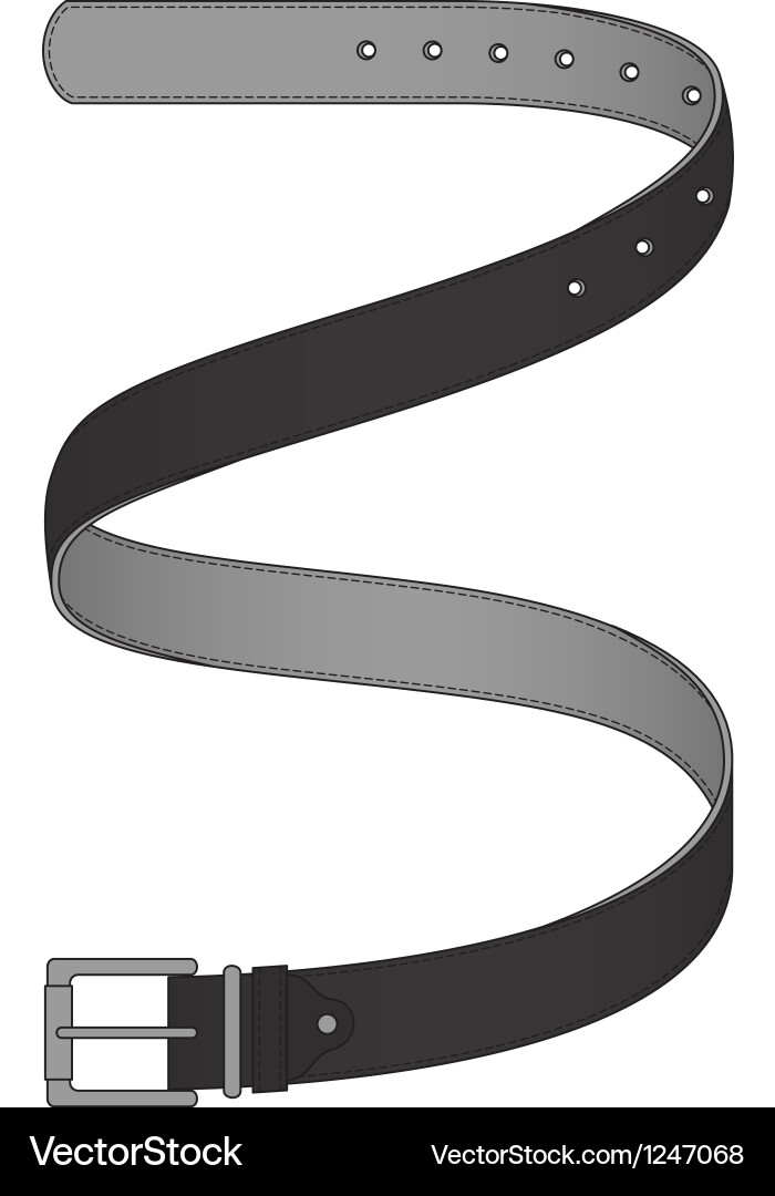 Belt Royalty Free Vector Image - VectorStock