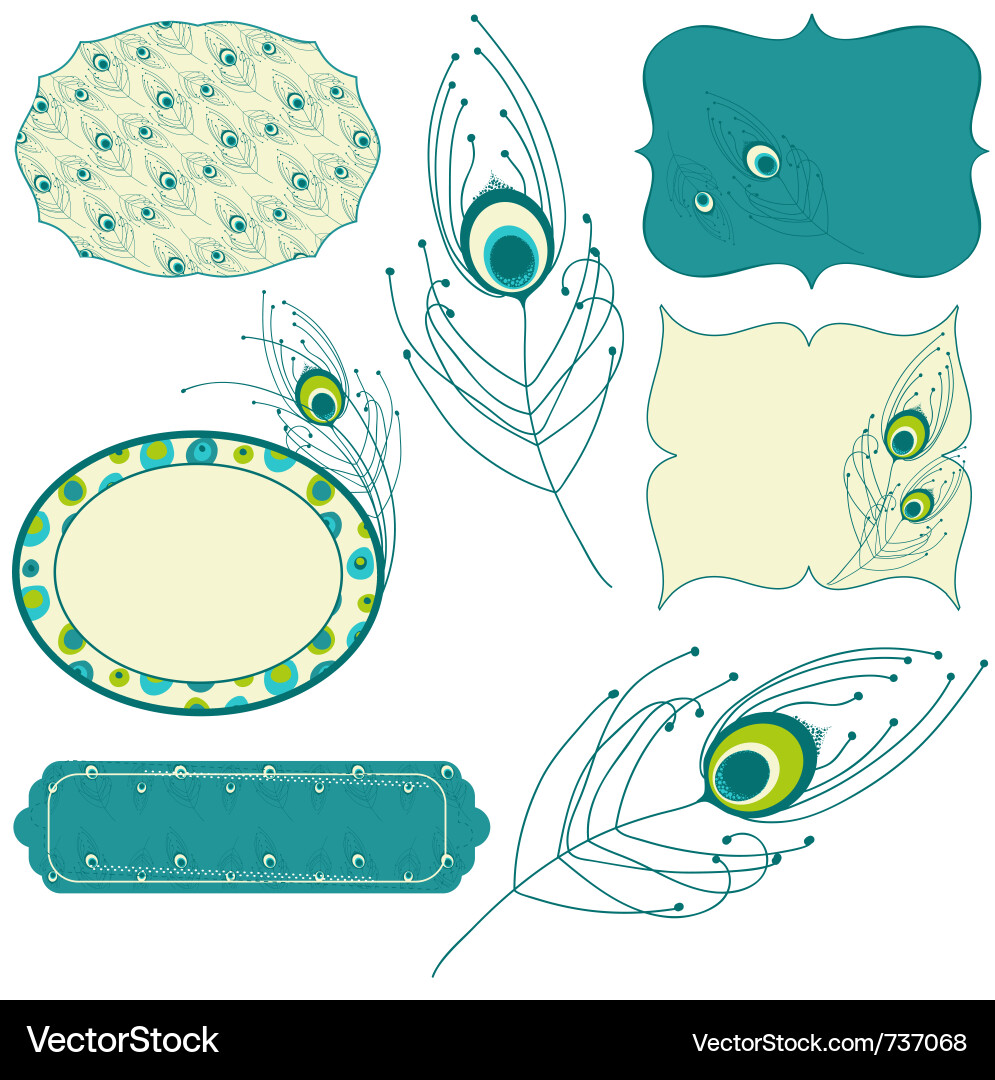 Peacock Feather Elements Vector Image