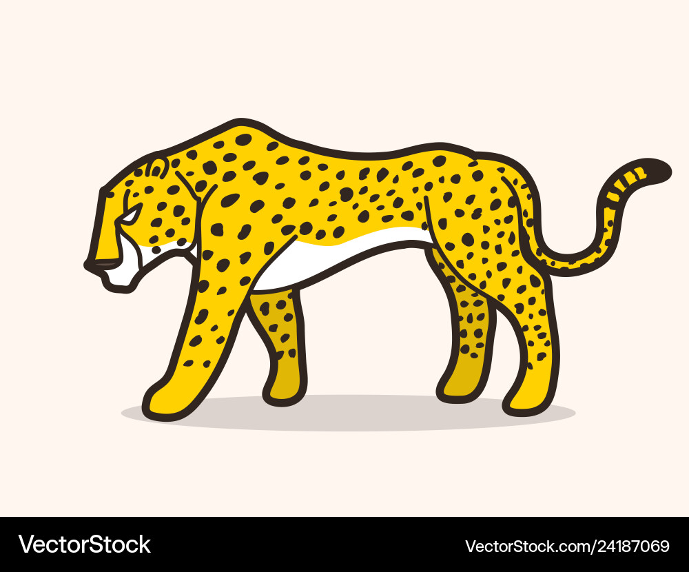 Cheetah Side View vector image