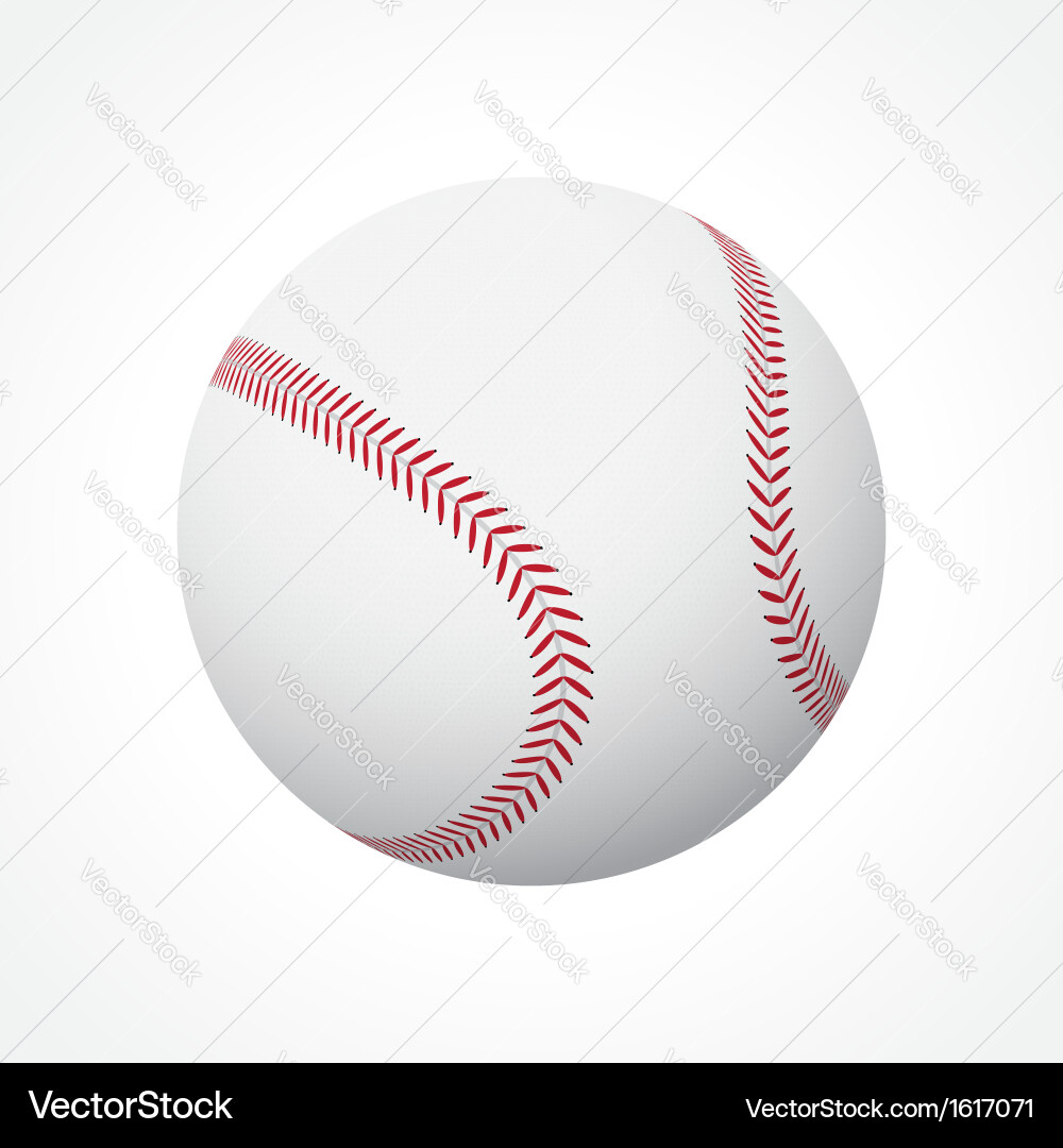 Baseball Ball on White Background vector image