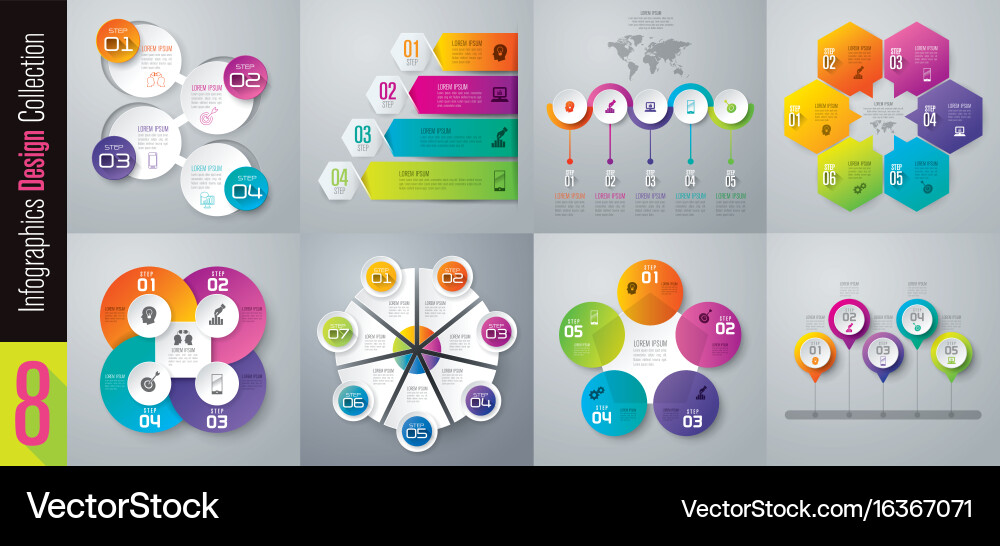 Infographic Template Collection vector image