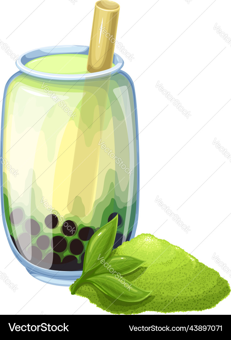 Matcha bubble tea Royalty Free Vector Image - VectorStock