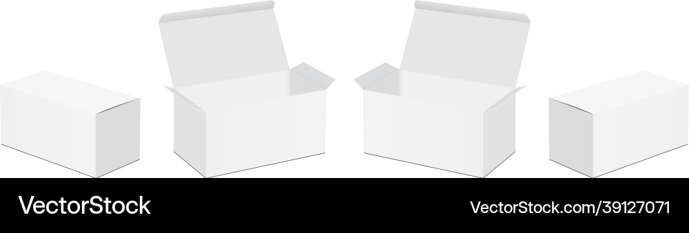 Rectangular paper boxes with opened and closed lid vector image