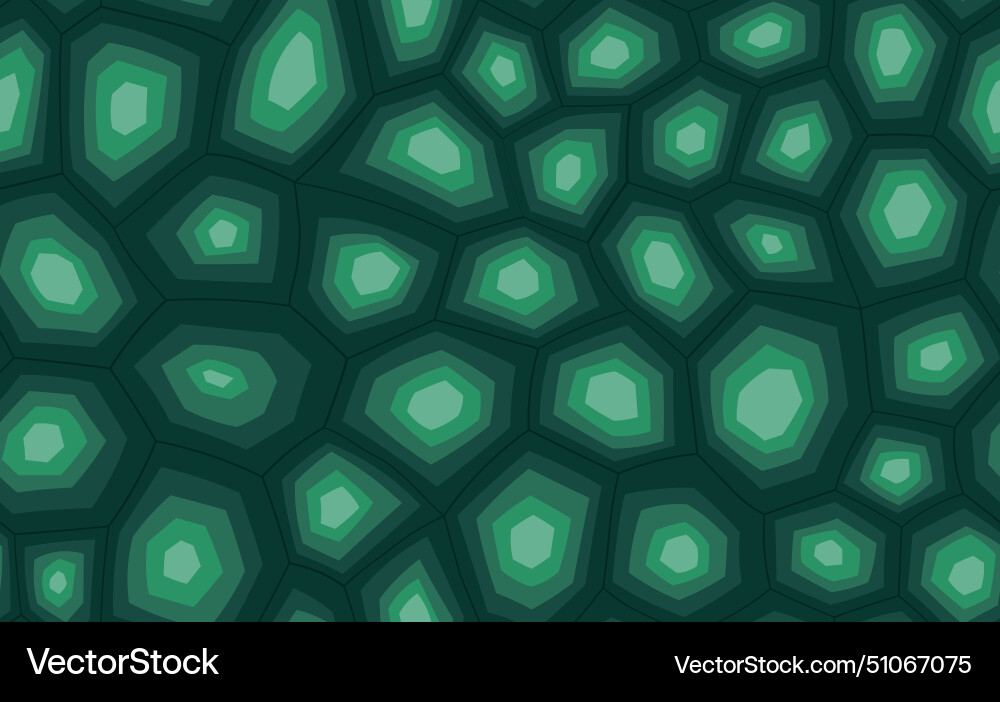 Abstract modern turtle shell seamless pattern Abstract modern turtle shell seamless pattern vector image