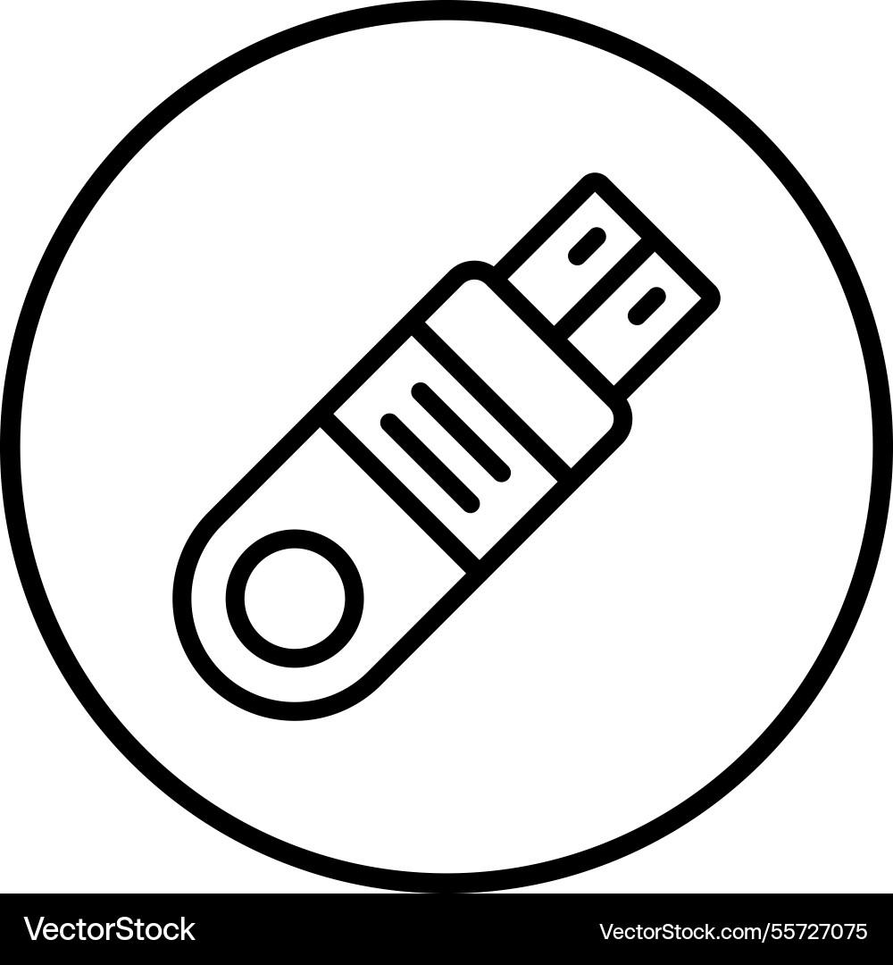 Flash disk icon design Vector Image
