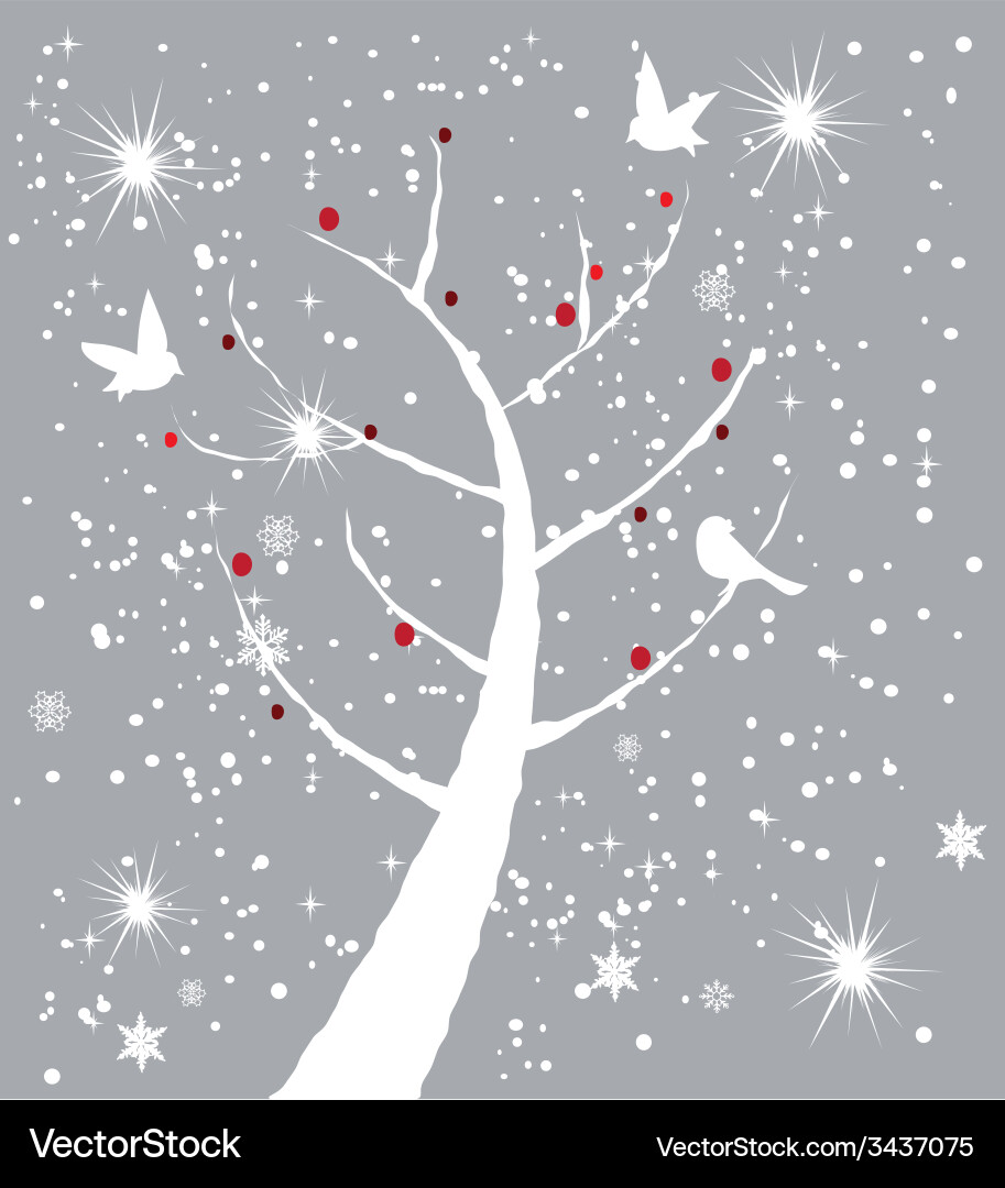 Snow bird Vector Image